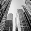 Buildings Chicago
