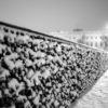 Snowy Lovers' Bridge