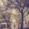 Paris 7H46